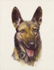 Custom Pet Portraits