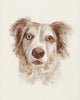 Custom Pet Portraits