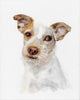 Custom Pet Portraits