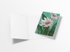 Cheerful Daisy Note Card or Greeting Card