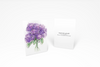 Hydrangea Note Card or Greeting Card