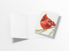 Watercolor Cardinal 01 Note Card or Greeting Card